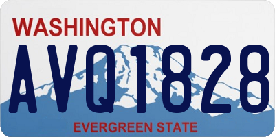 WA license plate AVQ1828