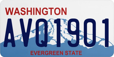 WA license plate AVQ1901