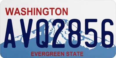 WA license plate AVQ2856