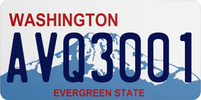 WA license plate AVQ3001