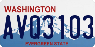 WA license plate AVQ3103