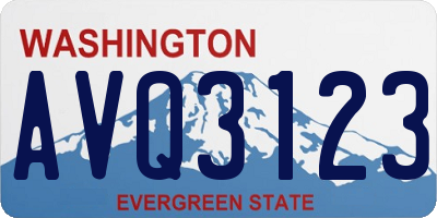 WA license plate AVQ3123