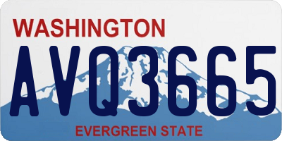 WA license plate AVQ3665