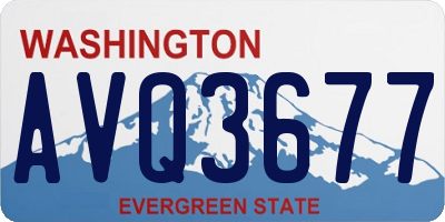 WA license plate AVQ3677