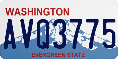 WA license plate AVQ3775