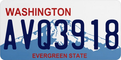 WA license plate AVQ3918