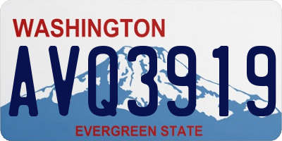 WA license plate AVQ3919