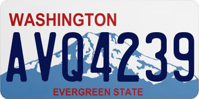 WA license plate AVQ4239