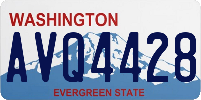 WA license plate AVQ4428