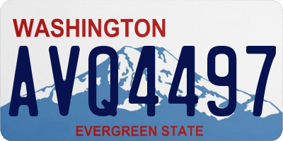 WA license plate AVQ4497