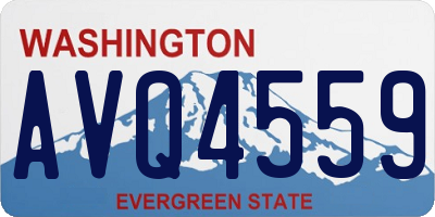 WA license plate AVQ4559