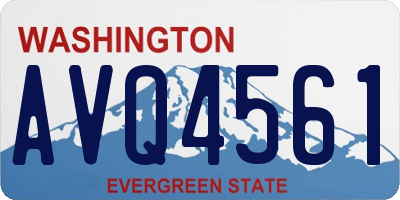 WA license plate AVQ4561