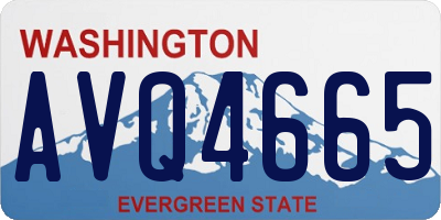 WA license plate AVQ4665