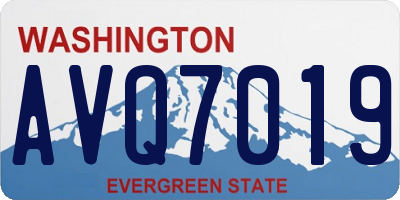 WA license plate AVQ7019
