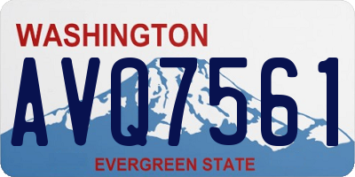 WA license plate AVQ7561