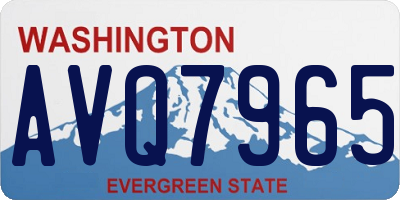 WA license plate AVQ7965