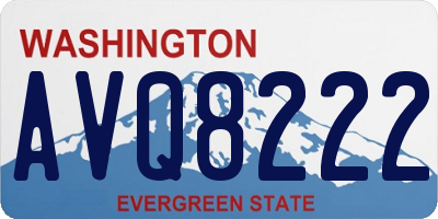 WA license plate AVQ8222