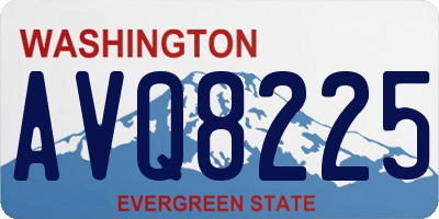 WA license plate AVQ8225