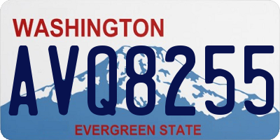 WA license plate AVQ8255