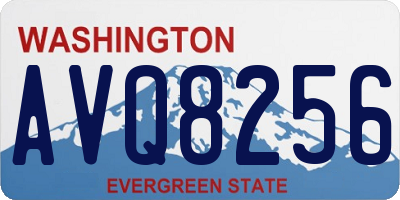 WA license plate AVQ8256