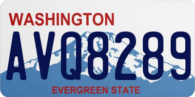 WA license plate AVQ8289
