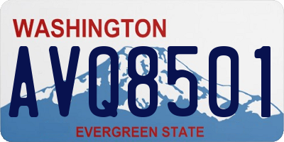 WA license plate AVQ8501