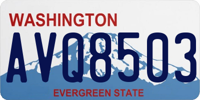 WA license plate AVQ8503
