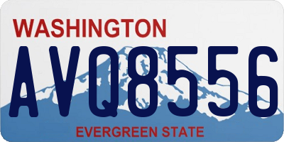 WA license plate AVQ8556