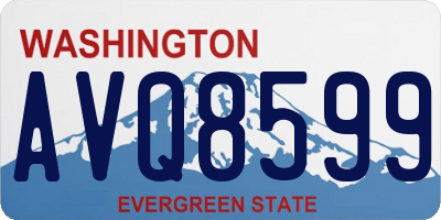 WA license plate AVQ8599