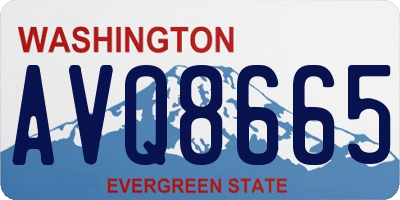 WA license plate AVQ8665