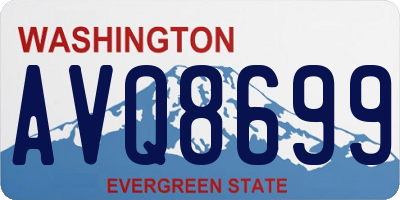 WA license plate AVQ8699