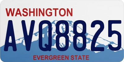 WA license plate AVQ8825