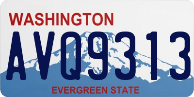 WA license plate AVQ9313