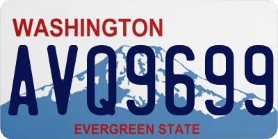 WA license plate AVQ9699