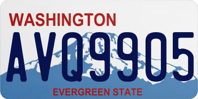 WA license plate AVQ9905
