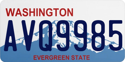WA license plate AVQ9985
