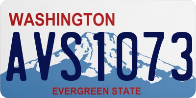 WA license plate AVS1073