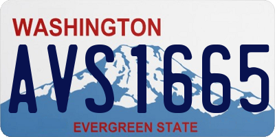 WA license plate AVS1665