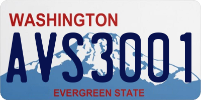 WA license plate AVS3001