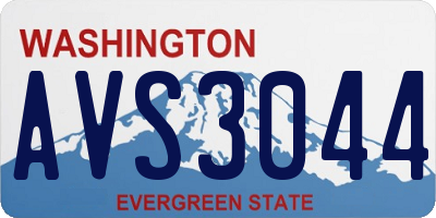 WA license plate AVS3044