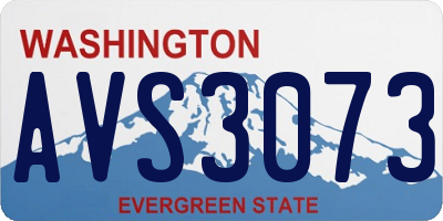 WA license plate AVS3073