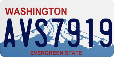 WA license plate AVS7919