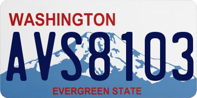 WA license plate AVS8103