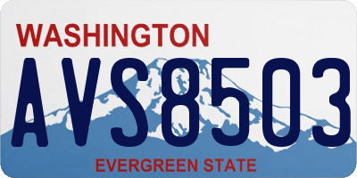 WA license plate AVS8503