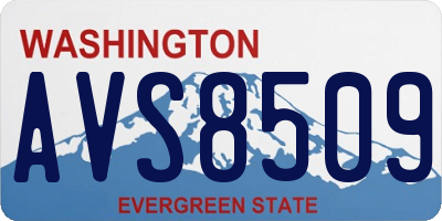 WA license plate AVS8509