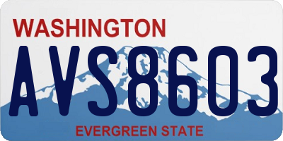 WA license plate AVS8603