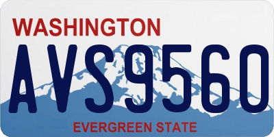WA license plate AVS9560