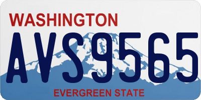 WA license plate AVS9565