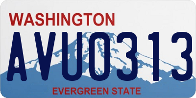 WA license plate AVU0313