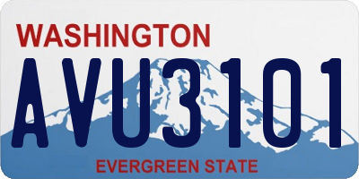 WA license plate AVU3101